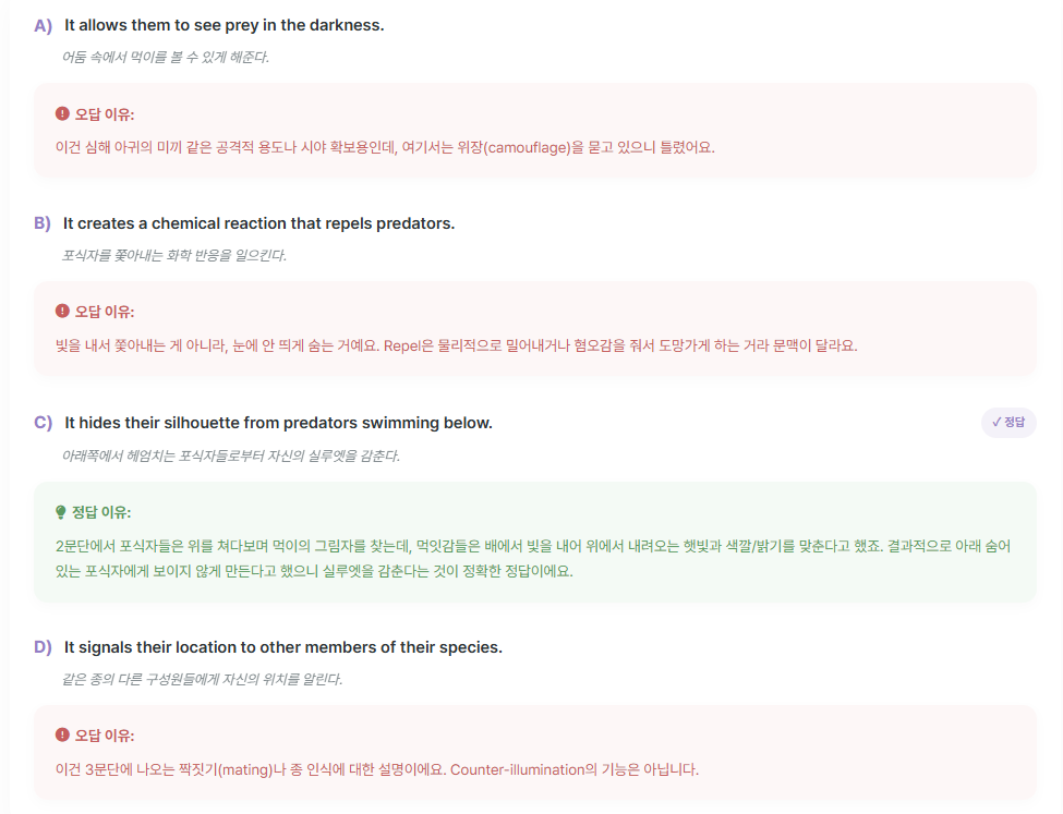 보기별 정답·오답 이유